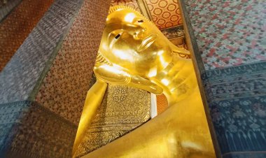 เป็นห่วง !!! รมต. วัฒนธรรมฯลงพื้นที่ตรวจ “พระนอนวัดโพธิ์” พบรอยร้าว