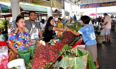 “พุทธเกษตร ส้มโอดี ลิ้นจี่หวาน”นำผลผลิตสดจากสวนมาขายที่วัดอินทาราม สมุทรสงคราม