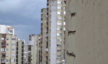 สั่งระงับใช้ 34 อาคารกทม.ตรวจพบเสียหายอย่างหนักจากแผ่นดินไหว