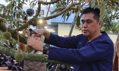 ผู้ว่าฯศรีสะเกษตัดใจตัดลูกทุเรียนภูเขาไฟเพื่อเพิ่มมูลค่าสร้างรายได้สู่ชุมชน