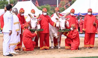 เตรียมจัดงานพระราชพิธีพืชมงคลจรดพระนังคัลแรกนาขวัญ ประจำปี 68