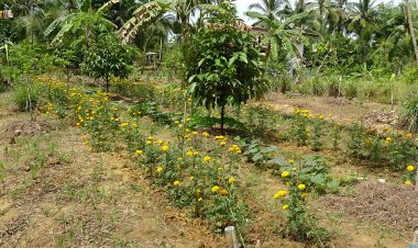 สตูล สร้างงาน สร้างอาชีพ สร้างความสุข โมเดลวัยเกษียณ