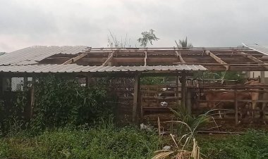 พายุฤดูร้อนถล่มน่าน! บ้านเรือนเสียหายกว่า60หลัง-เร่งสำรวจและให้ความช่วยเหลือ