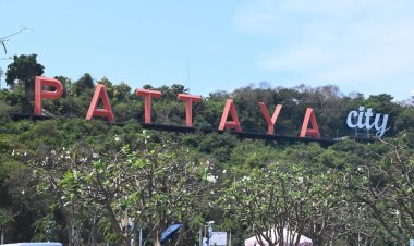 กล้องคุณพร้อมหรือยัง!ห้ามพลาดเทศกาลแสงสีเสียงสุดตระกาลตาท่ามกลางกลิ่นไอริมทะเลเมืองพัทยา