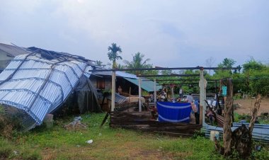 พายุฤดูร้อนถล่มนางรอง บ้านเรือน คอกสัตว์ ยุ้งข้าวเสียหายกว่า 200 หลัง รุนแรงสุดในรอบปี