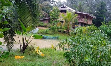 ปรัชญาเศรษฐกิจพอเพียง "โคก หนอง นา"ฝ่าวิกฤตภาษี"โดนัลด์ ทรัมป์"ขย่มโลก