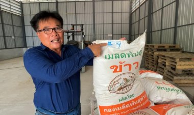 ชาวนาผวาพิษภาษี 'ทรัมป์'หวั่นกระทบขบวนการผลิตข้าวทั้งระบบหากรัฐบาลเจรจาล้มเหลว