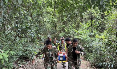 ระทึก!ดิน หินสไลด์น้ำตกเหวนรกถล่มใส่ นนท.ชาวฟิลิปปินส์บาดเจ็บ  2  ราย