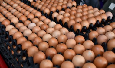 ผู้บริโภคอ่วม!"ไข่ไก่" ขึ้นราคาอีกแผงละ 6 บาท มีผล 17 เม.ย.นี้