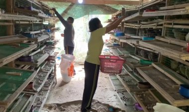 เลี้ยงนกกระทาอารมณ์ดี ‘เปิดเพลง’ให้ฟัง ไข่ใหญ่ไข่ดก-รายได้ 6-7หมื่น/เดือน