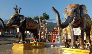 เสาร์ 26 เมษา ฤกษ์งามยามมงคล ทำขวัญนาค เข้ารับตำแหน่ง ขึ้นบ้านใหม่ สีฟ้า เขียวมีชัย