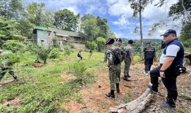 พยัคฆ์ไพรตรวจยึดคืนป่าถาวรเกาะช้าง 202 ไร่ หลังนายทุนรุกสร้างบ้าน-ตัดต้นไม้หวงห้าม จ่อดำเนินคดี