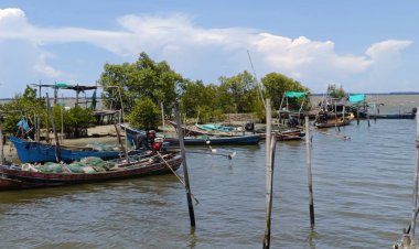 หนีกรุง...นั่งรับลม ชมวิว ดูชีวิตประมงพื้นบ้าน ที่ “แหลมนก” ปัตตานี