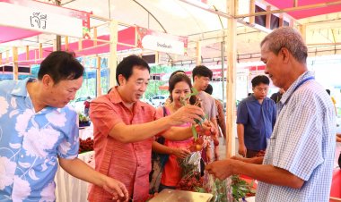 เล่าขานตำนาน! 'ลิ้นจี่'แม่กลอง ขึ้นชื่อพันธุ์ค่อมลำเจียก ต้นแบบมาจากจีน