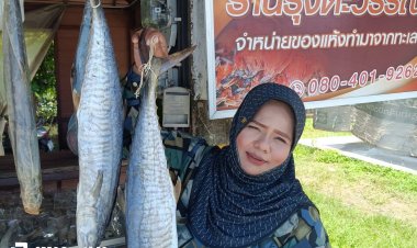 “ปลาอินทรีย์เค็ม” เมืองตานี ของดีขึ้นชื่อชาวประมงฝั่งอ่าวไทย