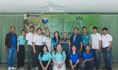 ไทยวา-ม.เกษตรจับมือวิสาหกิจชุมชน ทำคาร์บอนเครดิตไร่มัน "โนนสะอาด"