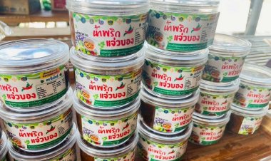 ‘ประมงเพชรบุรี’จับมือวิสาหกิจชุมชน แปรรูปปลาหมอคางดำ‘ตราใบโพธิ์’ของดีจากโพพระ