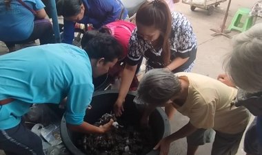 ฝนแรกแห่งปี!ออกล่าอึ่งเปิบเมนูเด็ด เหลือขายกก.ละ400-500บาท