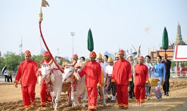 เปิดภาพพิธีซ้อมใหญ่พระราชพิธีพืชมงคลจรดพระนังคัลแรกนาขวัญ ประจำปี 2568