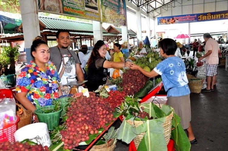 “พุทธเกษตร ส้มโอดี ลิ้นจี่หวาน”นำผลผลิตสดจากสวนมาขายที่วัดอินทาราม สมุทรสงคราม