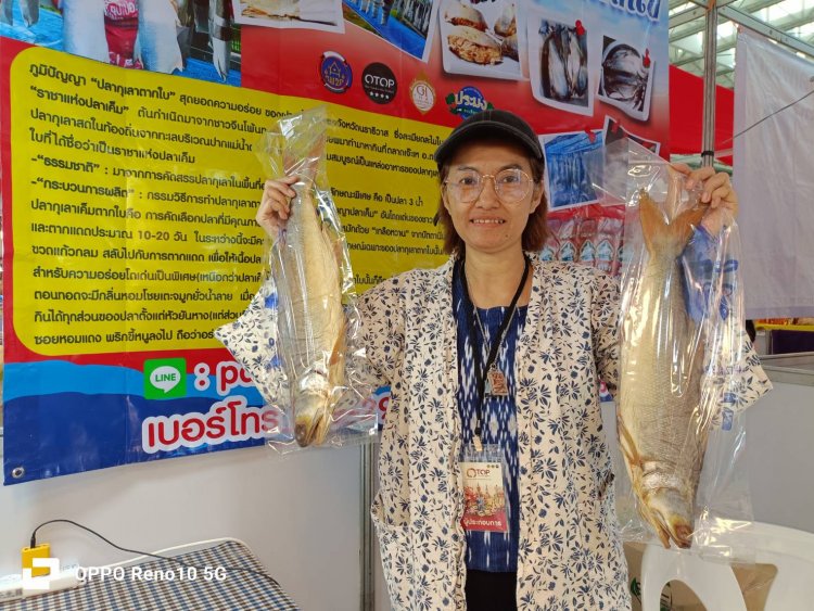 ปลาทำเงิน “ป้าเบญ” ราชาปลากุเลาตากใบของดีเมืองนรา “คนซื้อไม่ได้กิน”