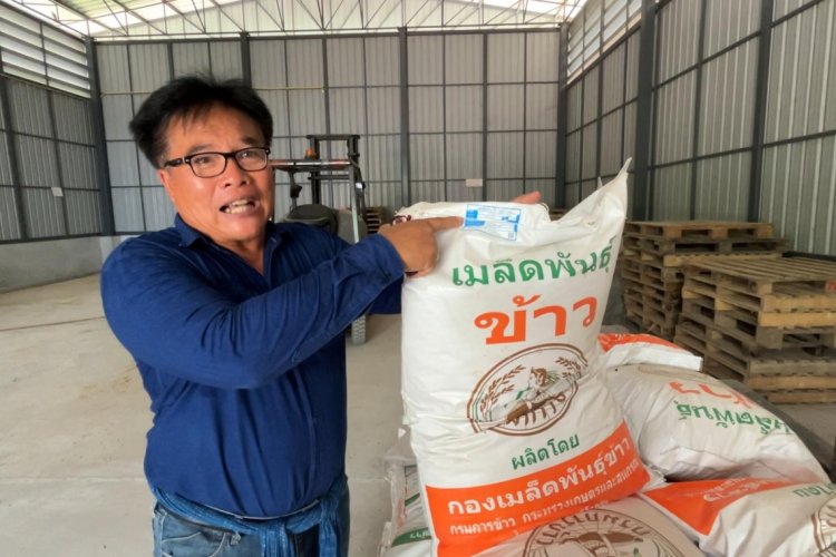ชาวนาผวาพิษภาษี 'ทรัมป์'หวั่นกระทบขบวนการผลิตข้าวทั้งระบบหากรัฐบาลเจรจาล้มเหลว