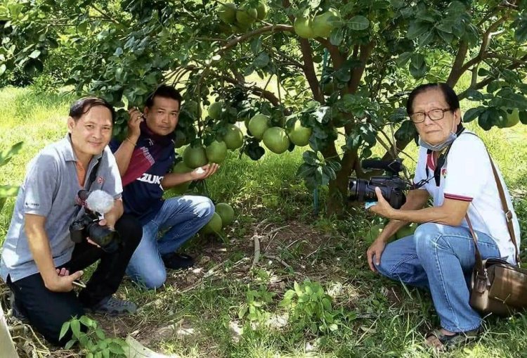 ชูส้มโอ 3 สวนเมืองจันทร์ ต้นแบบกระตุ้นท่องเที่ยวเชิงเกษตร-สร้างรายได้สู่ชุมชน