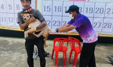 ปศุสัตว์อำเภอเบตง ออกหน่วยบริการเคลื่อนที่ ฉีดวัคซีนป้องกันโรคพิษสุนัขบ้า (ฟรี) ช่วงหน้าร้อน