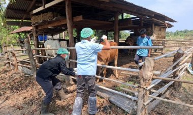 มุกดาหารสั่งเฝ้าระวังเข้มหลังยืนยันมีคนเสียชีวิตจากโรคแอนแทรกซ์ 1 ราย