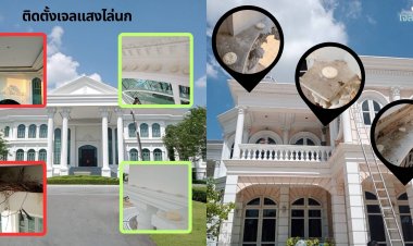 Optical gel ผลิตภัณฑ์ออแกนิก ไล่นกพิราบ“ทุกชีวิต อยู่ร่วมกันได้ โดยไม่เบียดเบียน”