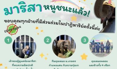 สเต็มเซลล์ กองทุนกันยา และคูมป้าหนูนา