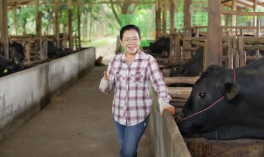 ชู "กลุ่มโคขุนหนองแหน"ต้นแบบเลี้ยงโคขุนเกรดพรีเมี่ยมเชิงพานิชย์ครบวงจร