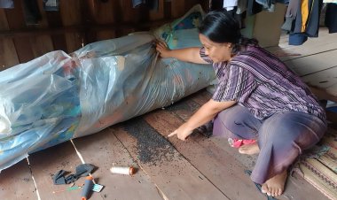 ขนลุก!กองทัพแมลงปีกแข็งนับหมื่นบุกยึดบ้าน ต้องหนีลงนอนกางมุ้งนอนชั้นล่าง