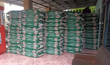 จับชีพจร... แนวโน้มธุรกิจปุ๋ยเคมีไทย