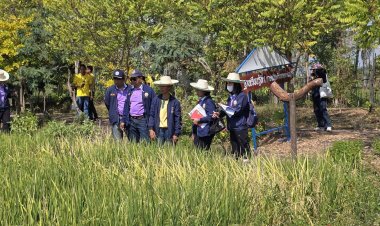 กรมพัฒนาที่ดิน ชู "หมอดินราตรี" ต้นแบบปลูกพืชอินทรีย์ สู่วิถีเกษตรคาร์บอนต่ำ