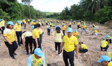 ผู้ว่าฯกระบี่ เปิดกิจกรรมจิตอาสาปลูกป่าฟื้นฟูทรัพยากรธรรมชาติ