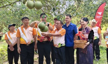 อบต.ตาโกนเตรียมจัดงานเทศกาลส้มโอศรีสะเกษ และของดีอำเภอเมืองจันทร์