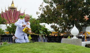 ปราจีนบุรีปลูกพระศรีมหาโพธิทศมราชบพิตร พร้อมกัน 76 จังหวัดทั่วประเทศ