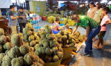 ประชาชนรัดเข็มขัดใช้จ่าย  กำลังซื้อหดหาย ฉุดยอดขายทุเรียนตกต่ำ