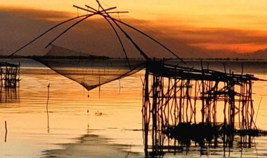 รับตะวันทอแสง “ปากประพัทลุง” แวะทะเลน้อยชมธรรมชาติ