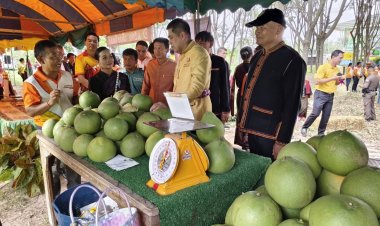 ผู้ว่าฯศรีสะเกษ เปิดงานเทศกาลส้มโอศรีสะเกษ และของดีอำเภอเมืองจันทร์