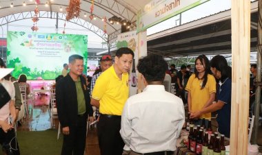 อำนาจเจริญจัดมหกรรมเมืองสมุนไพร “ฮ่วมกินพาแลง เบิ่งแยงเมืองอำนาจ”