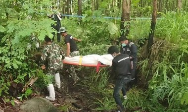 หนุ่มใหญ่ออกหาอึ่งเช้ามืด! เจอช้างป่าไล่ทำร้าย เตะจยย.ตกท่อระบายน้ำดับ