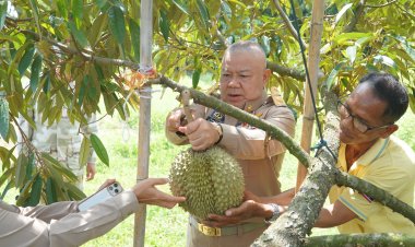 ผู้ว่าฯปราจีนบุรีดันสวนทุเรียนท่องเที่ยวเชิงเกษตรสร้างมูลค่าเพิ่มให้กับชุมชน