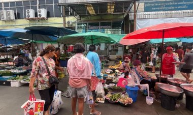 อาหารประจำถิ่นตามฤดูกาลยอดขายพุ่งอึ่งไข่กก.ละ 450 บาท