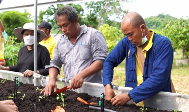 ชูภูมิปัญญาชาวบ้านปลูกผักยกแคร่อินทรีย์ครบวงจรแก้ปัญหาน้ำท่วม