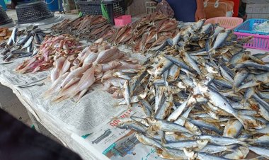 เลาะดู !!! วิถีชุมชน คนขายผักพื้นเมือง “ตลาดมะกรูด” โคกโพธิ์