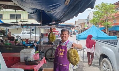 ทุเรียนใต้ออกผลผลิตสู่ท้องตลาดมิ.ย.ทุเรียนจันทบุรีราคาตกทะลักด้ามขวาน