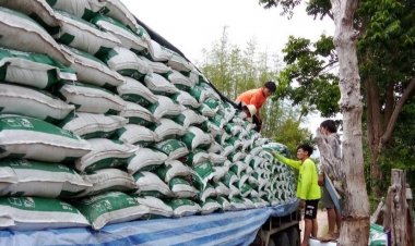 “ปุ๋ยอินทรีย์ ไทยกรีน” ต่อลมหายใจเกษตรกร เตรียมลุยบุกพท.ทั่วไทย