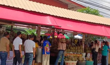 นทท.แห่ชิม ช้อป ทุเรียน ที่สวน"ลุงเกษม"ดันยอดขายพุ่งวันละ 2.5 แสนบาท